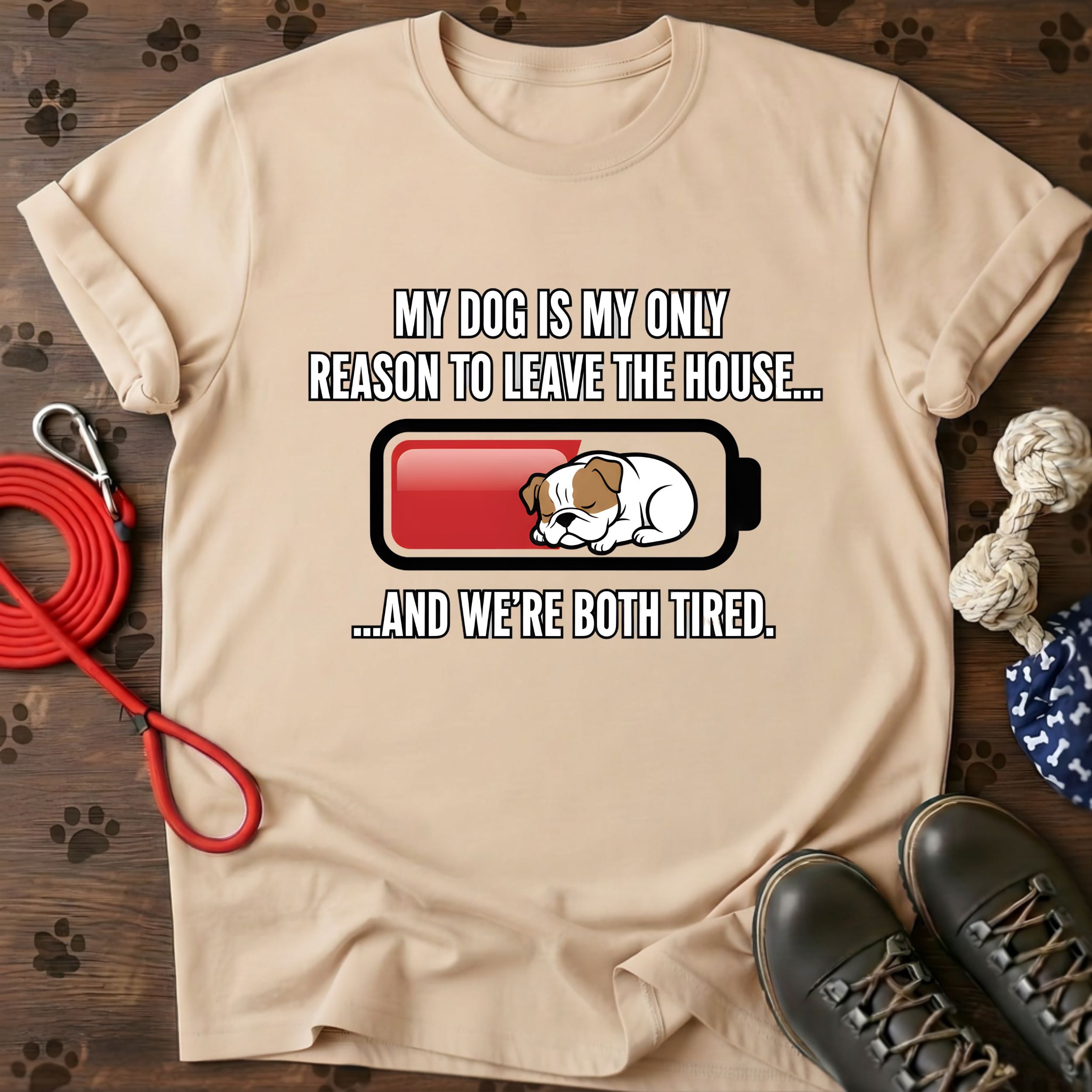 My Dog Is Reason To Leave T-Shirt